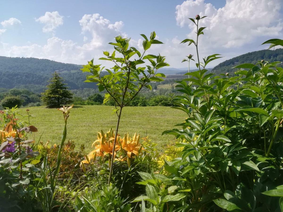 Noclegi Nad Solina المظهر الخارجي الصورة